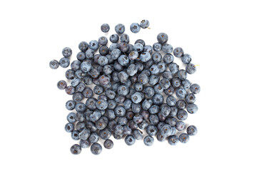 Fresh blueberries isolated on white background. Space for text.