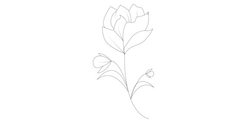 illustration of a silhouette of a plant