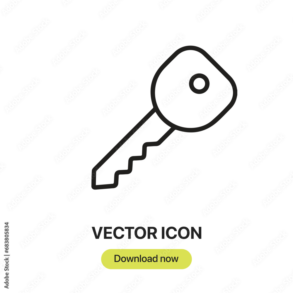 Poster key icon vector. linear-style sign for mobile concept and web design. key symbol illustration. pixel