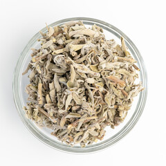 Common Sage (Salvia officinalis ) on glass plate, white background