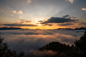 霧の朝