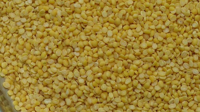 Uncooked dry split mung beans (Vigna radiata) falling ,close up view