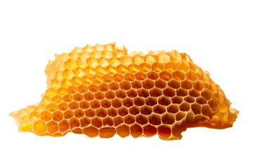 honeycomb on a white background isolated PNG