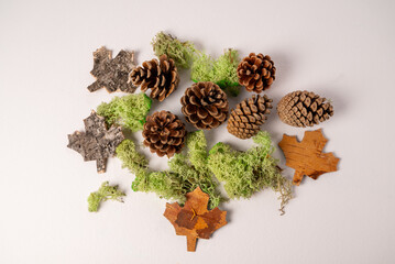White background with fir or pine cone and dry leaves