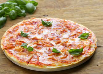 fresh delicious pizza with tomatoes and basil