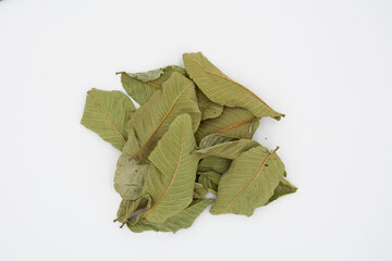 bay leaves isolated on a white background
