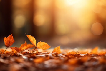 Naklejka na ściany i meble Colorful leaves in Autumn season with blurred background.