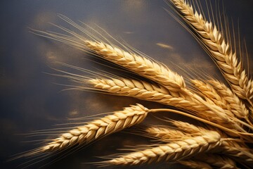 Ears of wheat on black background