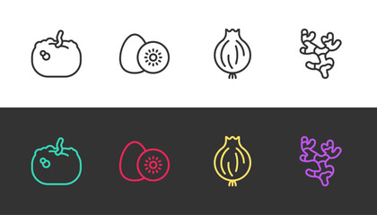 Set line Pumpkin, Kiwi fruit, Garlic and Ginger root on black and white. Vector