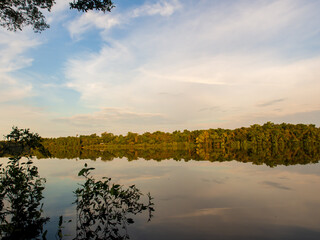 Amazonia