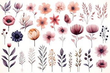 Abstract watercolor flowers, leaves, branches. Boho and multiple color palette with a white background. Vector, floral clipart.