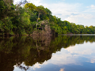 Amazonia