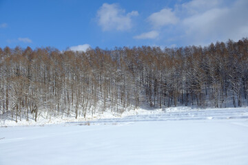北海道の冬景色