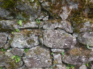 Old stone wall with moss, leaves, grunge. Natural aged material. Texture, background.