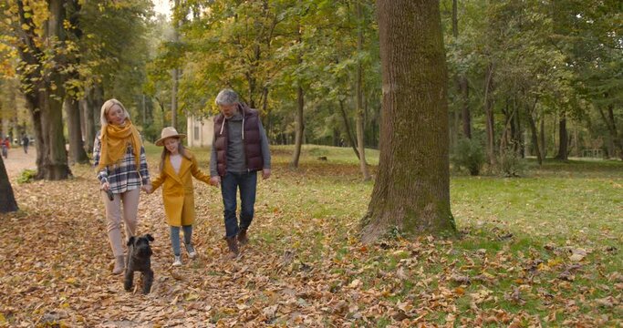 Grandparents and kid with their pet walking in the autumn park