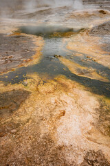 Texture from Thermophilic Bacteria