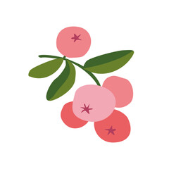 cowberry berries on a branch with leaves. doodle cranberry. healthy food with berries