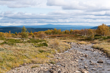 Fototapeta na wymiar Herbst entlang der Flatruet zwischen Funäsdalen und Ljungdalen 