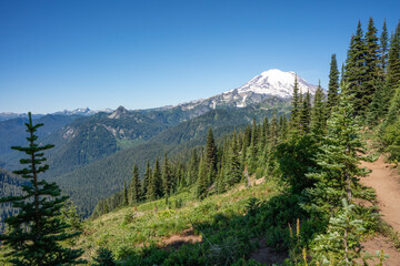 Summertime in the Mountains