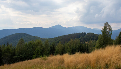 Fototapeta premium Amazing mountain landscape. Morning panorama of the forest, pine trees and silhouettes of mountains