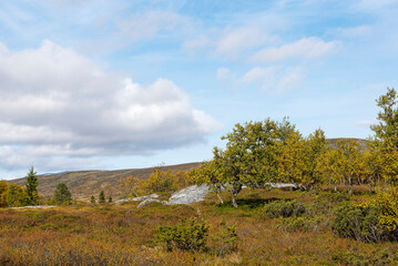 Obraz premium Auf dem Helagsfjäll in Jämtland in Schweden im Herbst 