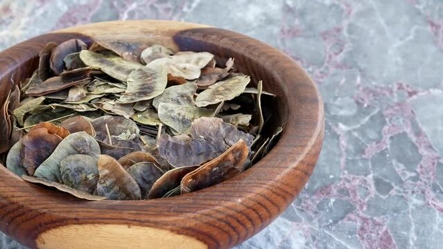 Heap of Senna Alexandrina pods in brown wooden plate on blue marble, pan, close, HD, 24fps
