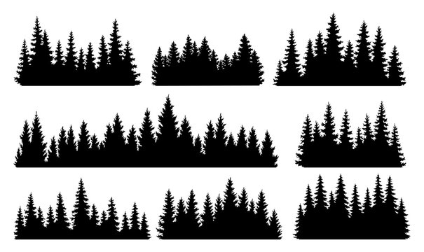 Fir trees silhouettes set. Coniferous spruce horizontal background patterns, black evergreen woods illustration. Beautiful hand drawn panorama with treetops forest. Black pine woods