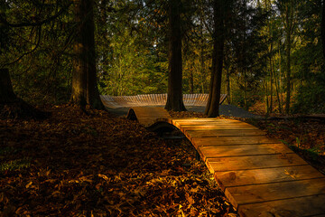 2023-11-18 A WOODEN RAMP FOR A COMMUNITY BMX TRACK IN A WOODED PARK WITH FALL LEAVES ON MERCER...