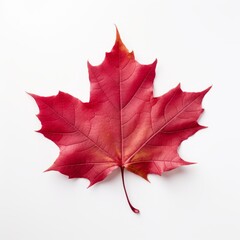Discover the Uniquely Canadian: The Majestic Isolated Red Maple Leaf Generative AI
