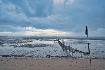 Amrum Insel Natur Ruhe Idyll Schleswig-Holstein
