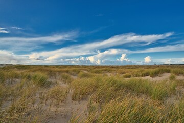 Amrum Insel Natur Ruhe Idyll Schleswig-Holstein
