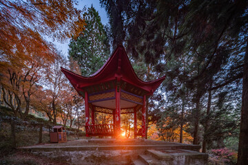 Pavilion in autumn maple forest