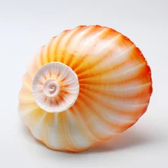 Poster Stunning Contrast: Discover the Beauty of an Orange and White Sea Shell Generative AI © monsifdx
