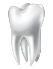 Tooth anatomy. Medical banner or poster illustration. Realistic white tooth mockup. dental symbol. Healthy white tooth
