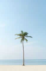 a palm tree sits in the sand, next to a beach,