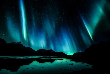 Tuinposter Noorderlicht aurora borealis over the sea
