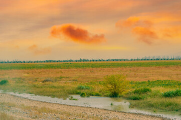 Enjoy the stunning beauty of the prairies and steppes. Watch as the vibrant colors of the sunset...