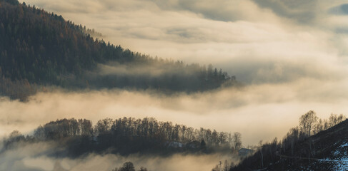 Sea of clouds on winter forest, panoramic view from Bielmonte Oasi Zegna, Biella Italy