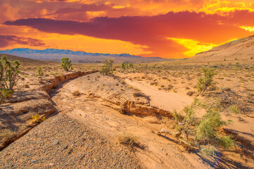 Enjoy the stunning beauty of a desert sunset in the Red Boguta Mountains. Witness the golden glow of the sun illuminating the jagged peaks. Prepare to be amazed by the breathtaking views,