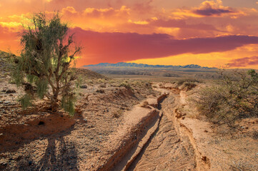 Enjoy the mesmerizing beauty of a desert sunset in the Red Boguta Mountains. Witness the golden...