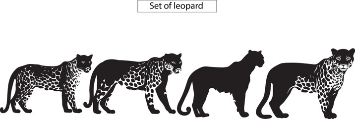 leopards silhouette set 