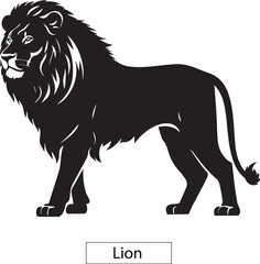 Lion Illustration on white background