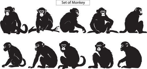 Obraz premium Set of silhouettes of monkey's