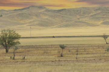 prairie, plain, desert. A tranquil moment in the vast desert as the last rays of the sun paint the...