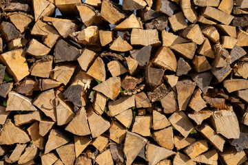 Stack of Wood