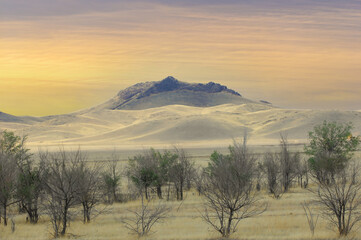 prairie, plain, desert. Finding solace in the golden shades of the desert Desert Dreams
