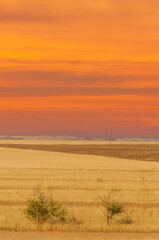 Steppe, prairie The sky sparkles with fiery hues as the sun dips below the horizon, leaving the...