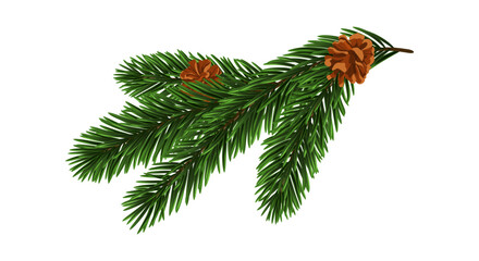 Green Christmas Fir Branch