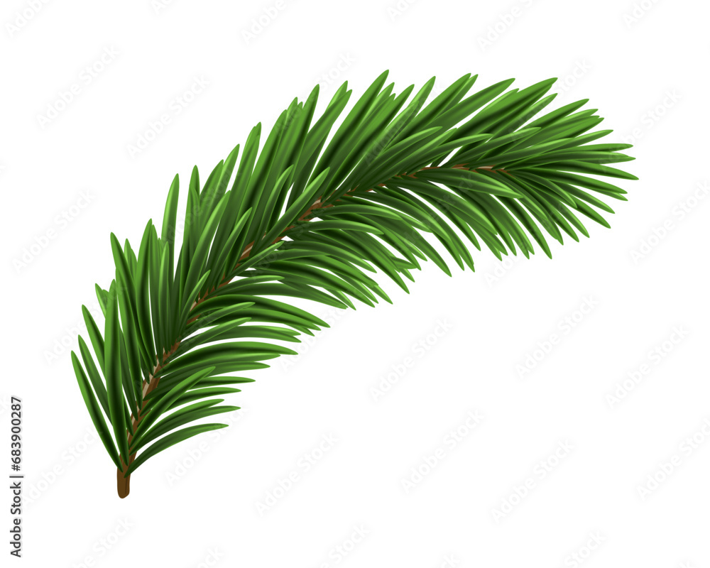 Wall mural green christmas fir branch