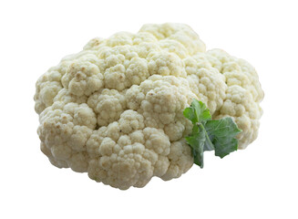fresh Cauliflower - phool gobhi in white isolated background